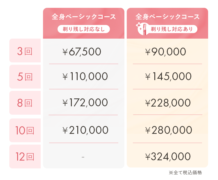 全身ベーシックコース料金