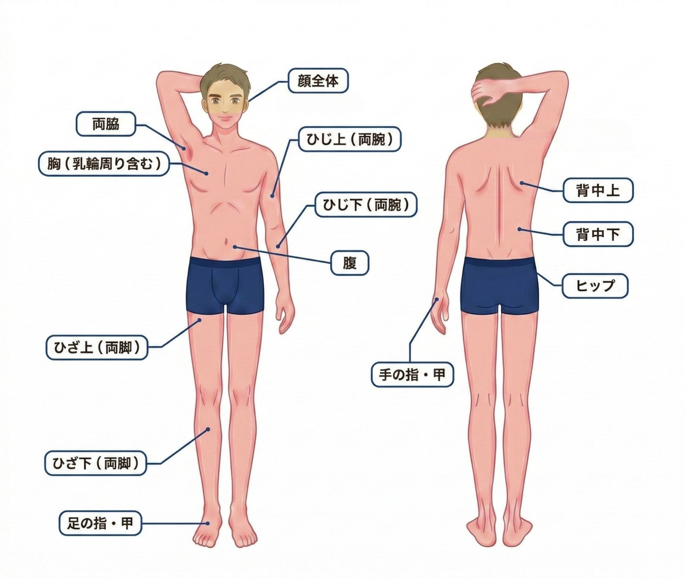 全身ライトコース(全身+顔首)