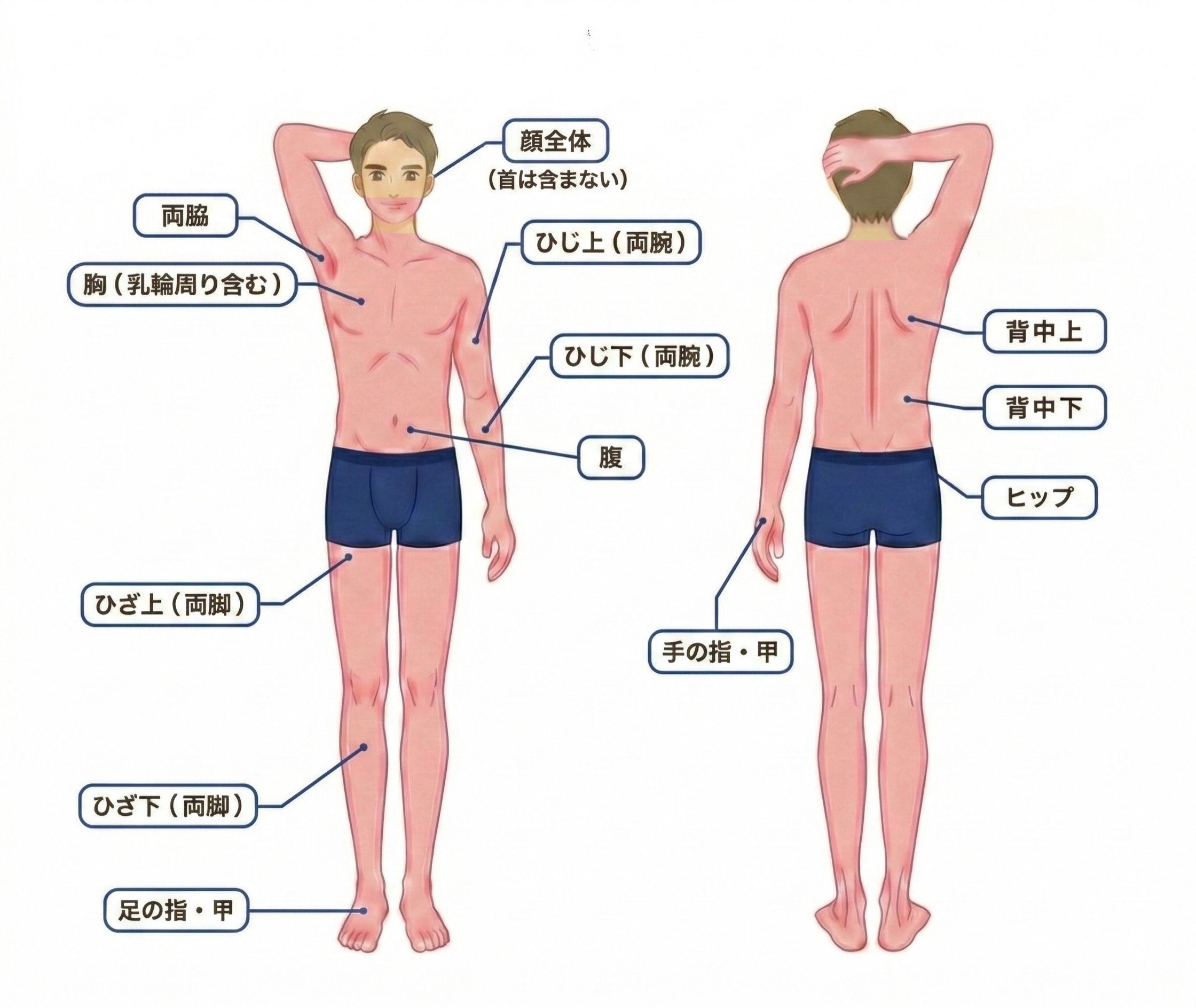 全身ライトコース(全身+顔)施術部位