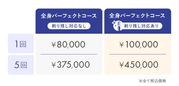 全身パーフェクトコース料金表