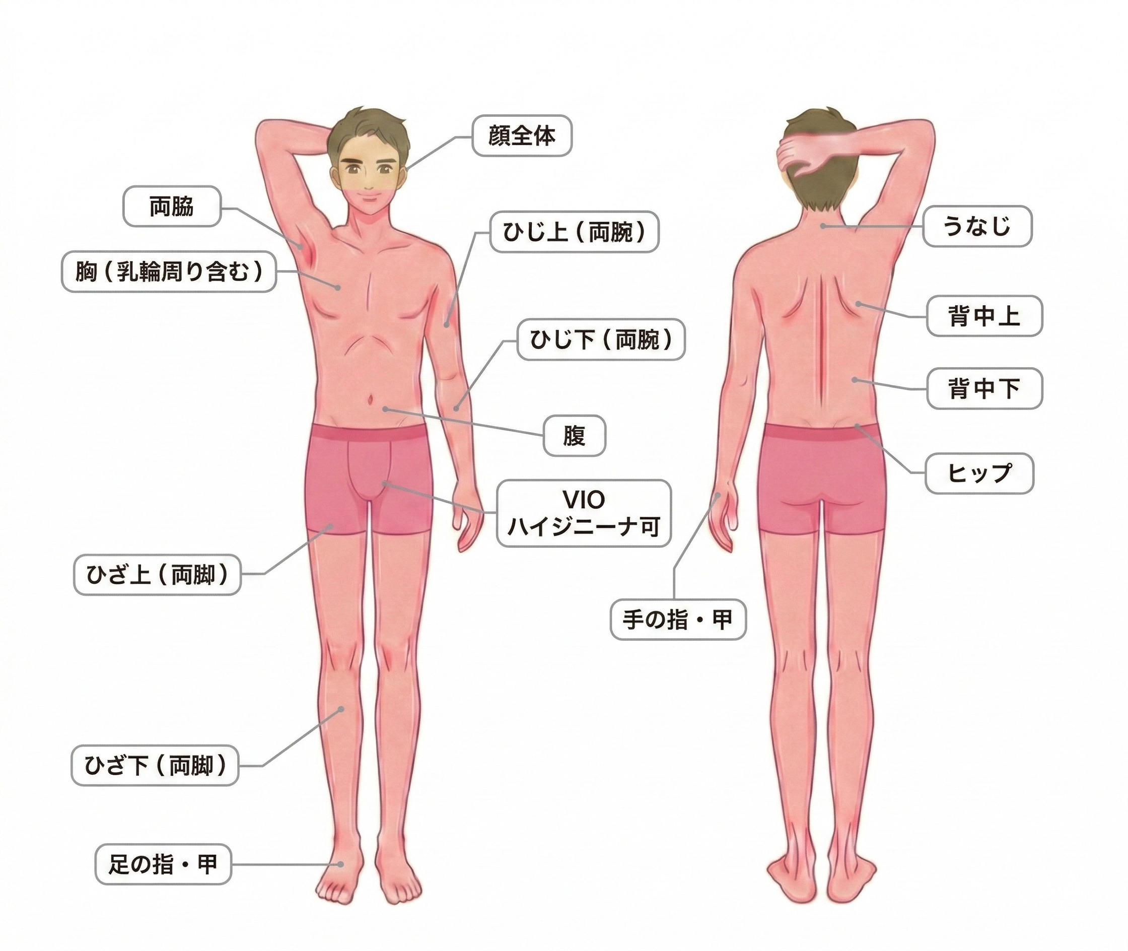 全身パーフェクトコース施術部位